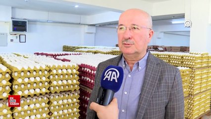Yumurtada ihracat süreçleri ve fon kesintisi kararları fiyatları aşağı çekti