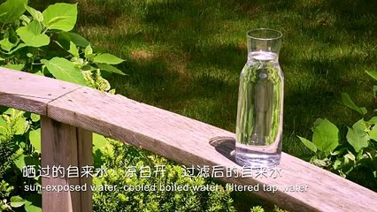 Fine food √Food √ Food √ FOOD