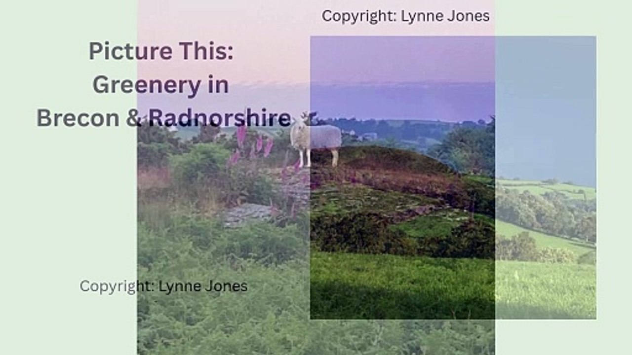 Picture This: Greenery in Brecon & Radnorshire