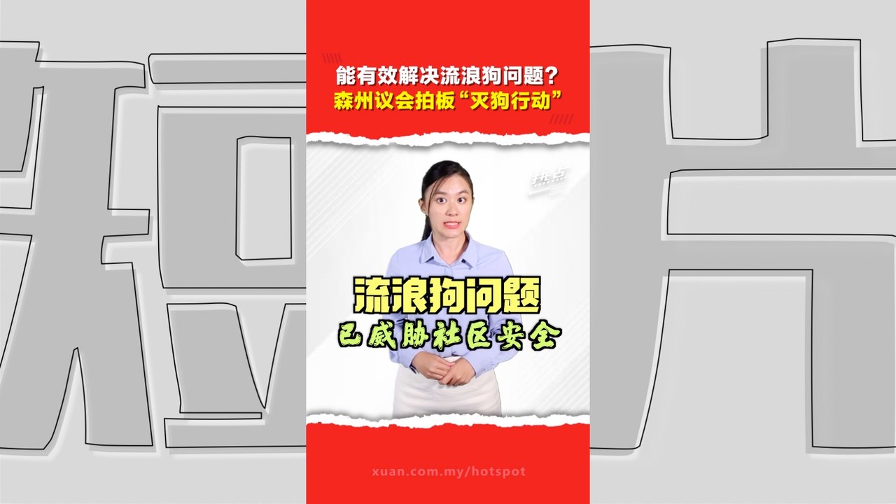 森州议会通过捕杀流浪狗行动 将优先在马来穆斯林社区执行 - video Dailymotion