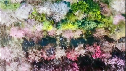 The Hidden Moon Ep10 2-2 Engsub full