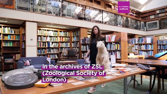 ZSL discovers forgotten wildlife film reels dating back 80 years: Can you help save them?