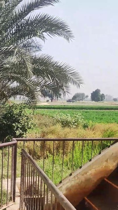 Pakistani village ll village