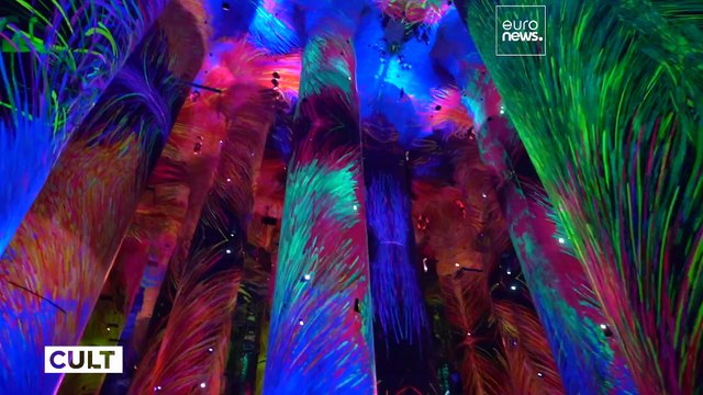 Inaugurado o maior espaço de arte imersiva do mundo no distrito cultural de Abu Dhabi