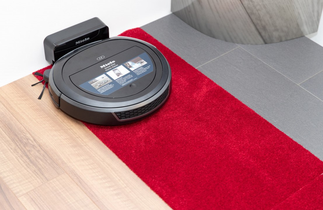 Scientists claim robot vacuums can be reprogrammed to play with cat and water plants: 'For most of the day, they sit idle'