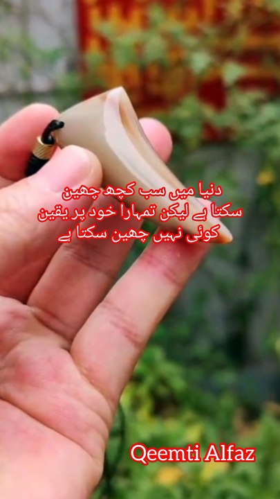 khud per yuaeen rakho tum bht khuch kar sakty ho #shorts#viralvideoes