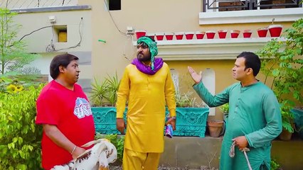 Rana Ijaz Funny Video | Rana Ijaz New Video | Standup Comedy Of Rana Ijaz #comedy #funny