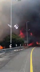 Una serie de impresionantes incendios forestales azotan a Israel