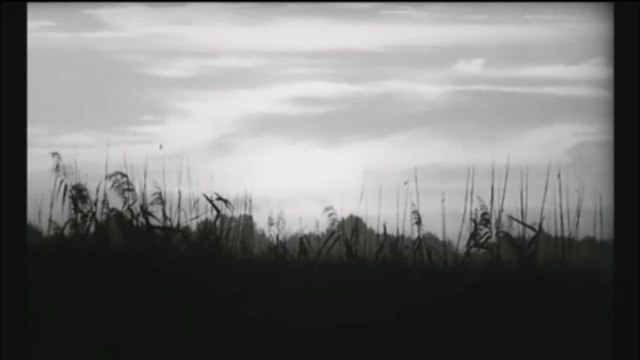 Nobody's Perfect - A Quoi Je Sers