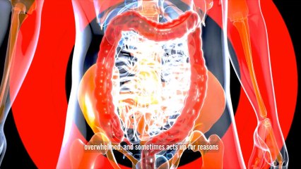 Hypnotherapy for Gut Health: Mind-Body Healing Explained