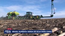 Brasil aumenta venda de soja para a China