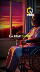 Historia de enseñanza 95