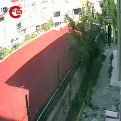 Doktorun sahiplenip öldürdüğü iddia edilen köpek sayısı 26'ya ulaştı