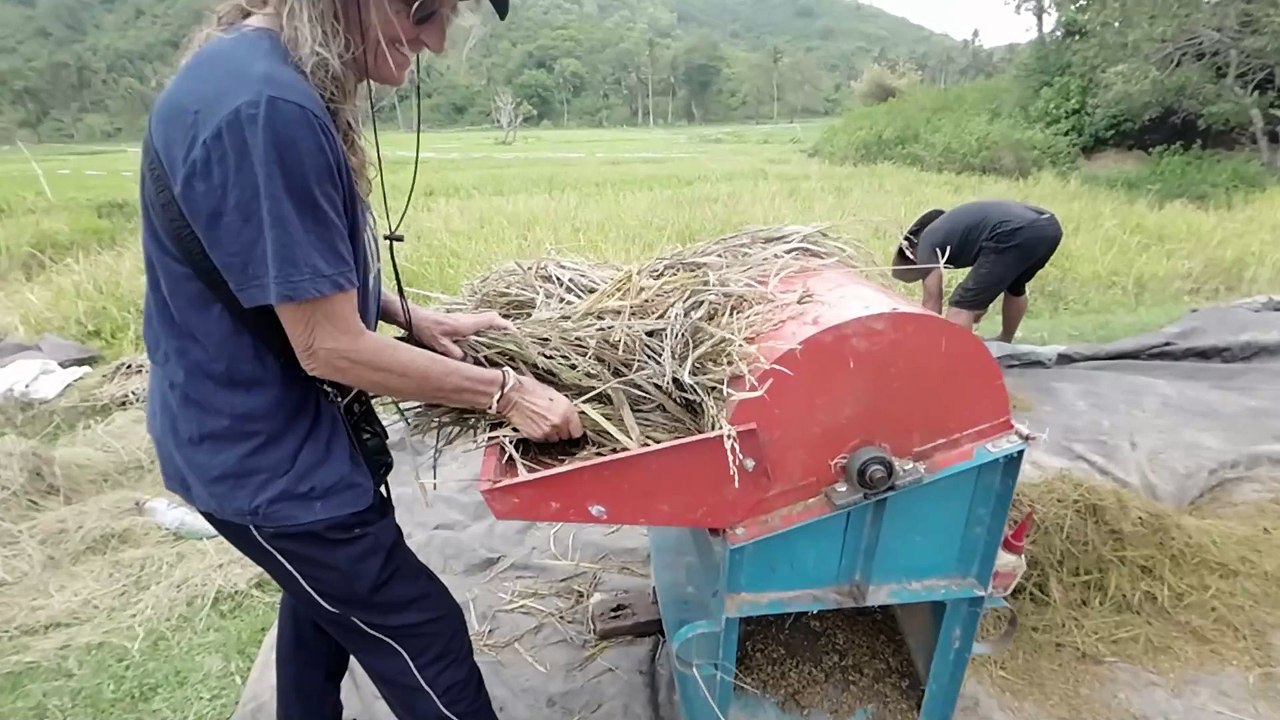 RIZ MAIS lombok