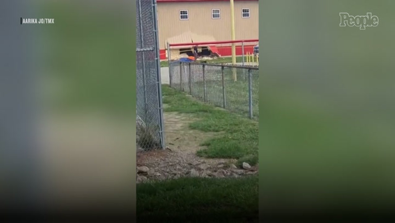 4 Girls Killed in Illinois After-School Camp Crash Identified as Parents Pay Tribute to 'Sweet, Silly' Daughters