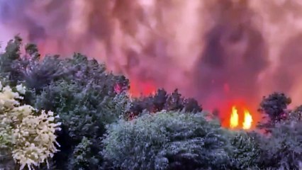 De violents incendies font rage près de Jérusalem