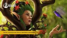 HAVVA'NIN KABURGADAN YARATILIŞININ KÖKENİ - ENKİ & NİNHURSAG