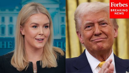 Karoline Leavitt Asked About What The President Is Doing To Help Small Businesses