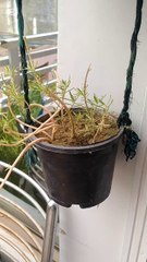 Waqt par qadar kijye