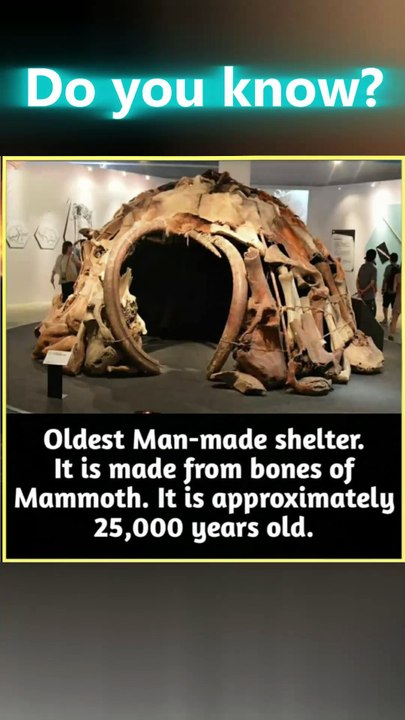 "Shocking Fact: The Oldest Man-Made Shelter Was Built From Mammoth Bones! 🦣🏠"
