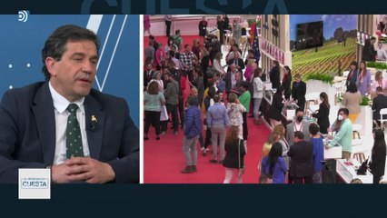 ¿Por qué la feria del vino más importante de España se celebra en Ciudad Real?