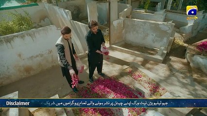 Mehshar Last Episode 40 - 30th April 2025 - HAR PAL GEO