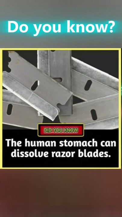 "Unbelievable Fact: The Human Stomach Can Dissolve Razor Blades! 😱🗡️"