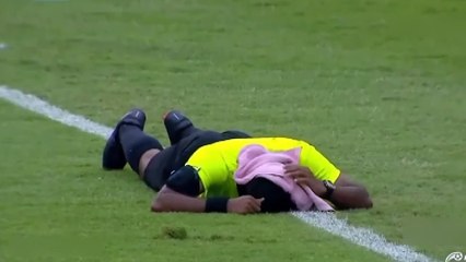 Arı saldırısı maça damga vurdu! Hakem ölümden döndü...