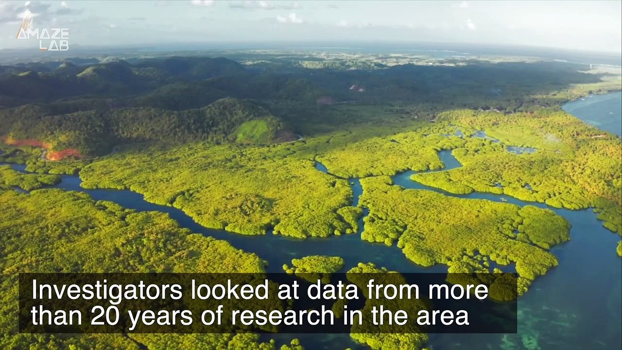This Might Be The Largest Ancient City Network Ever Found in the Amazon