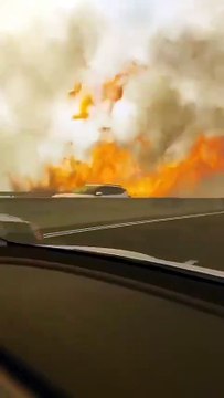 Plusieurs incendies dévastateurs font rage à l’ouest de Jérusalem en Israël : Les secours israéliens sont mobilisés et plusieurs pays envoient des canadairs pour aider à lutter contre le feu