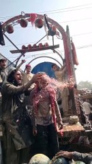 water melon lal ha funny