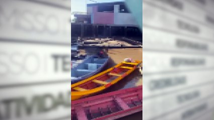 animais envenenamento