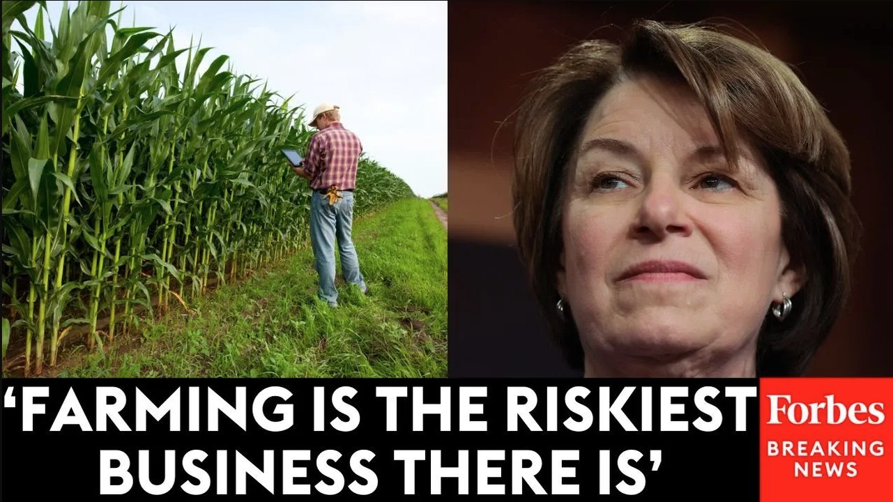 Amy Klobuchar Decries Trump’s ‘Reckless’ Tariffs Putting American Farmers’ Livelihoods In ‘Jeopardy’