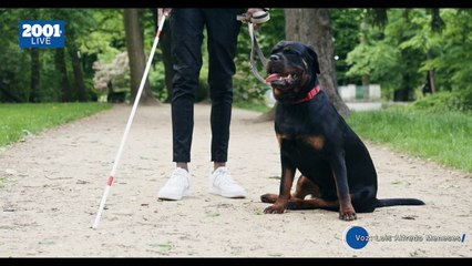 ¿Puede el colesterol alto causar ceguera? Lo que debes saber