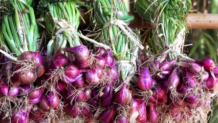 c7-precio-de-la-cebolla-montaña-rusia-que-va-en-descenso-300425