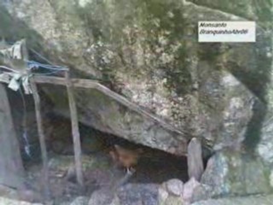 Aldeia de MONSANTO