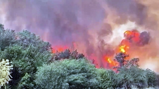 Alerta máximo por incêndios devastadores na região de Jerusalém