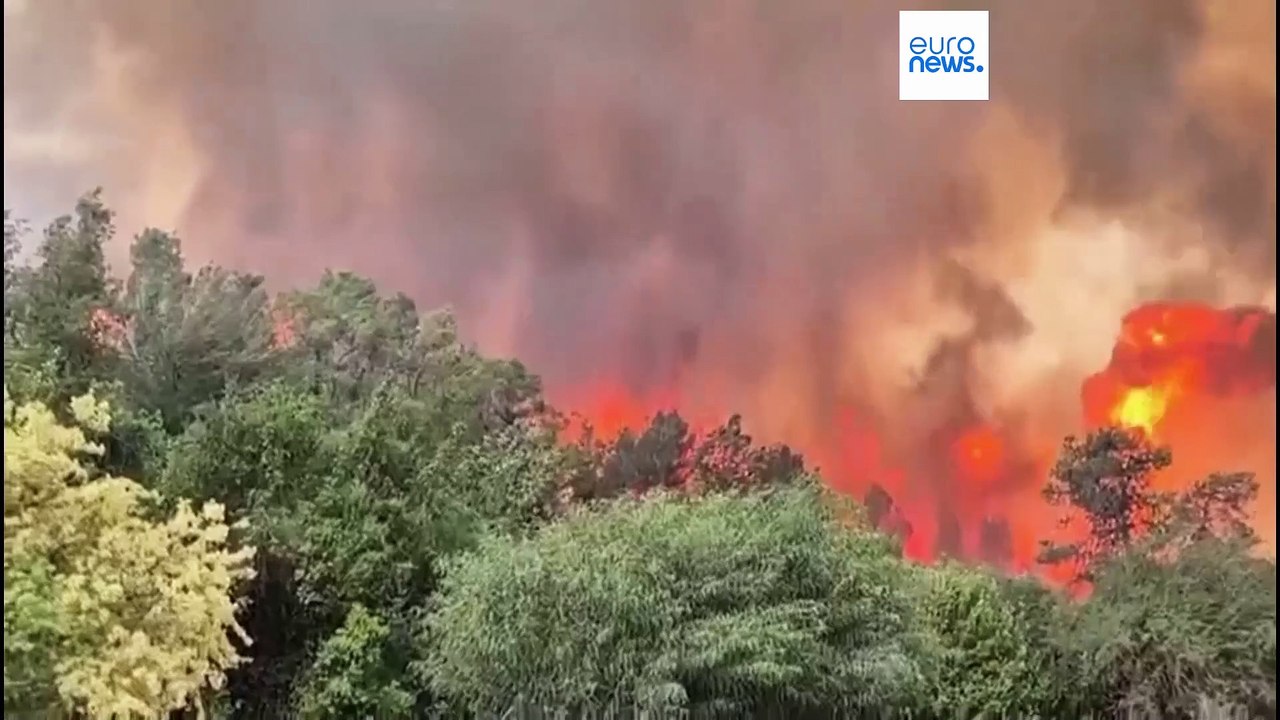 حرائق جبال القدس: جهود حثيثة لإخماد النيران وبن...
