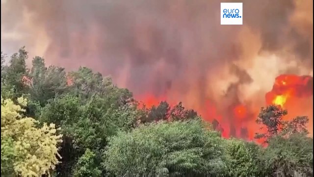 حرائق جبال القدس: جهود حثيثة لإخماد النيران وبن غفير يدعو لمعاملة الجناة كـ إرهابيين