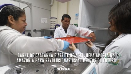 Carne de castanha e azeite de açaí UFPA aposta na Amazônia para revolucionar os alimentos do futuro