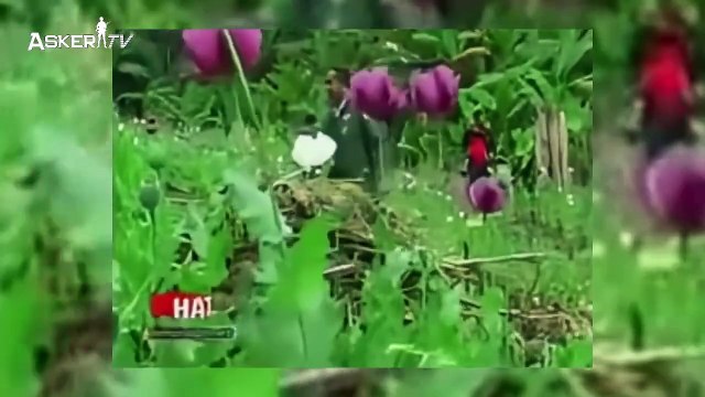 Afganistan’da Kaos ve Umut: Taliban’ın Dönüşü, Türk İmar Ekibinin Çalışmaları ve Mehmetçiğin Güven Veren Varlığı