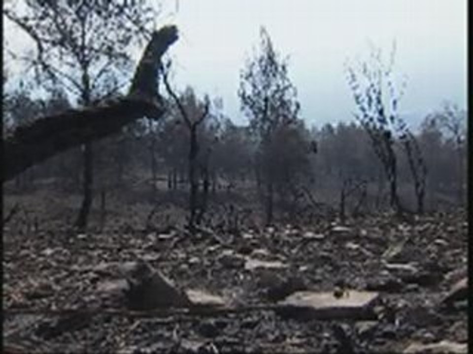 israel fait aussi dans le terrorisme écologique