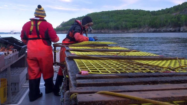 30 avril TOPO LPM peche homards