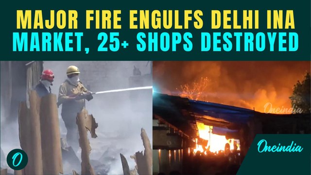 Delhi INA Market Fire: Over 25 Shops Completely Gutted in the Fire, Cause of Fire Not Known | Video