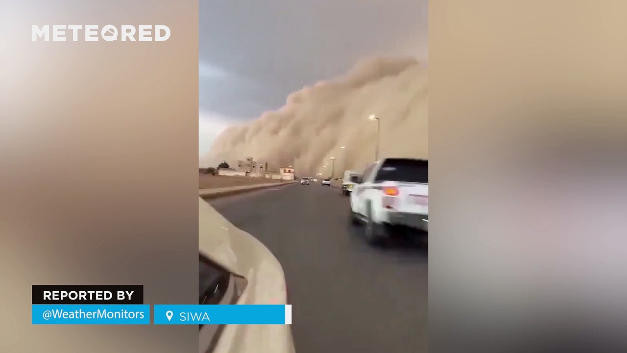 A massive sandstorm struck the desert of Siwa, Egypt! An immense cloud covered the landscape