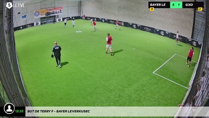 But de Terry F - Bayer Leverkusec