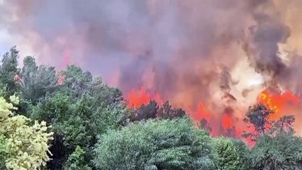 Netanyahu advierte que los incendios podrían propagarse a Jerusalén
