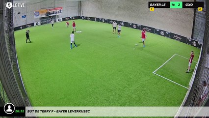 But de Terry F - Bayer Leverkusec