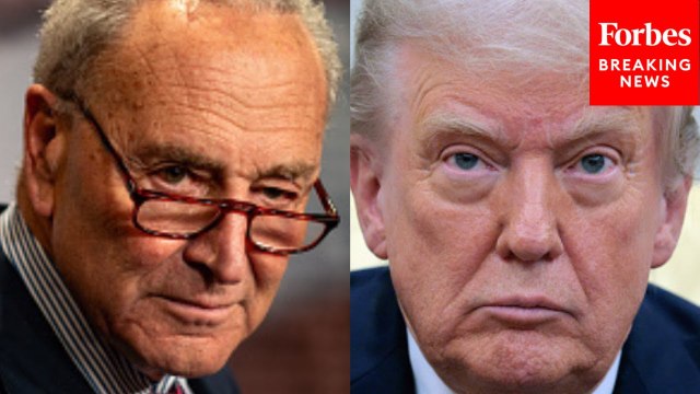Chuck Schumer Torches Trump's Tariffs, Previews Vote To End 'Stupid And Reckless' Trade War