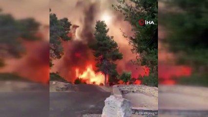 Cehennemi yaşıyorlar! İsrail'de büyük orman yangını